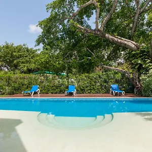 https://apartment-playa-riviera-tendenza.tulum-hotels.net